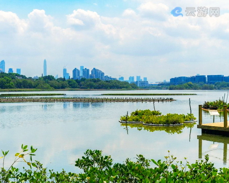 深圳华侨城湿地公园