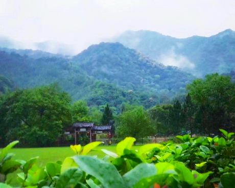 仁化灵溪河森林旅游度假公园