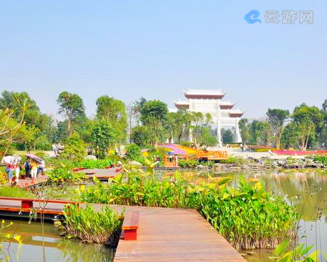 广州海珠湖湿地公园