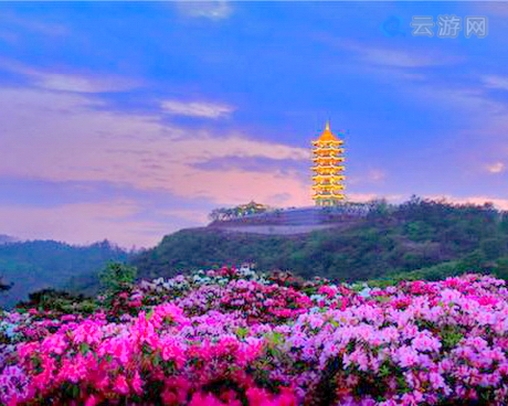 广州十八罗汉山森林公园