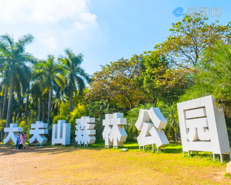 广州番禺大夫山森林公园