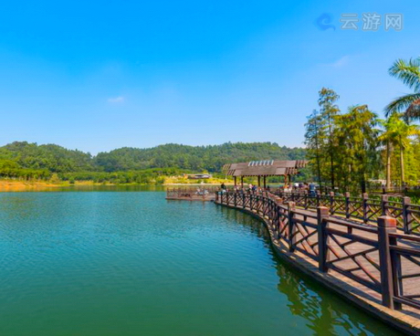 广州番禺大夫山森林公园