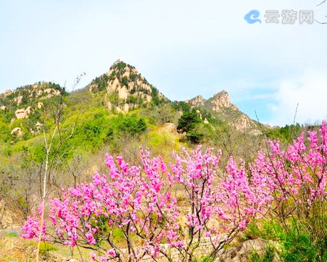 大杨山国家森林公园
