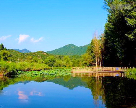 六渡河村河沿湿地公园