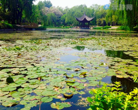 北京陶然亭公园