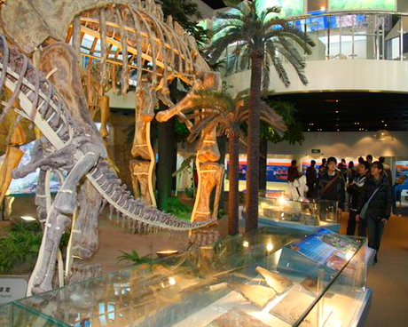 北京中国地质博物馆