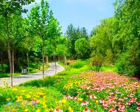 朝来森林公园