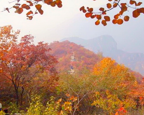 坡峰岭景区/幽岚山