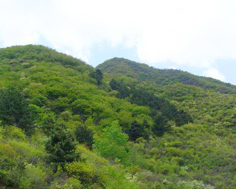 马栏森林公园