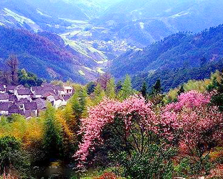 军庄镇香峪村
