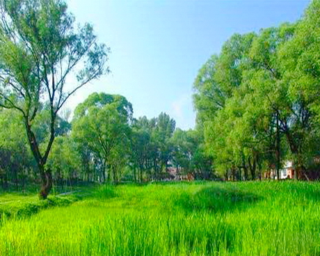 三里河湿地公园