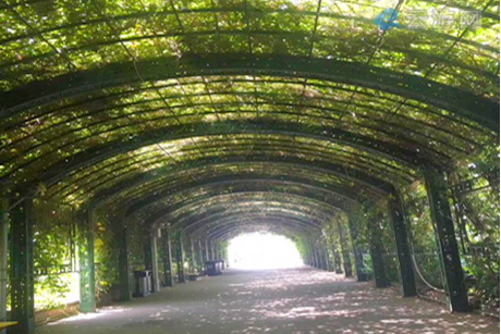 平谷金海湖风景区
