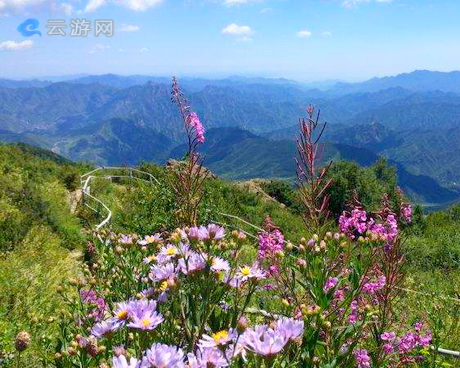 北京百花山自然保护区