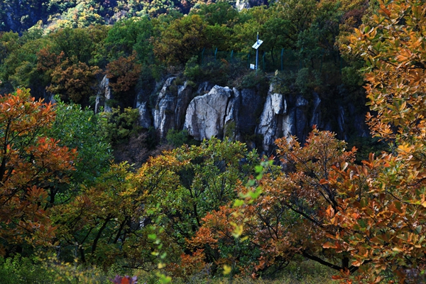 IMG_2887_副本.jpg