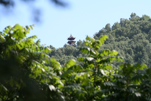 IMG_3552_副本.jpg