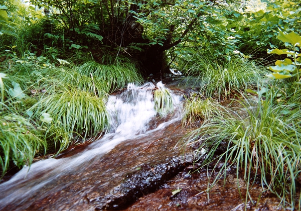 DSC_8073_副本.jpg