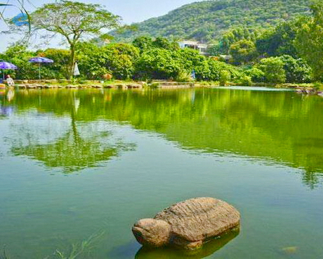 上海青青旅游世界