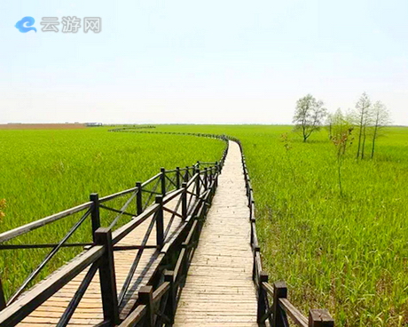崇明西沙国家湿地公园