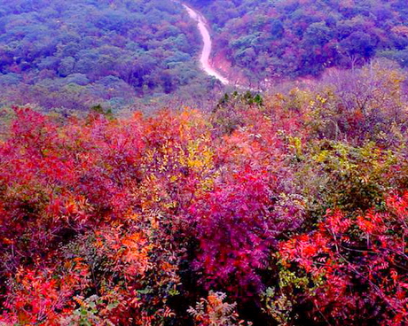 幕府山