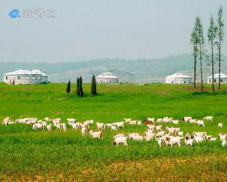 南京巴布洛生态谷