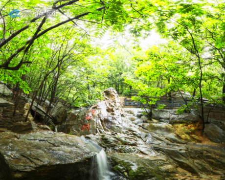 灌云县大伊山风景区