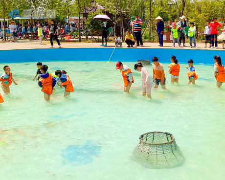 泗洪洪泽湖湿地公园
