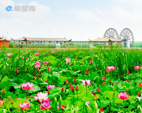 泗洪洪泽湖湿地公园