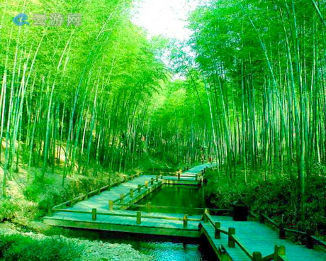 常州南山竹海