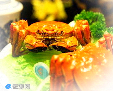 阳澄湖老许蟹庄