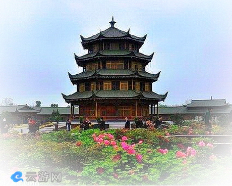 太仓浏河牡丹园