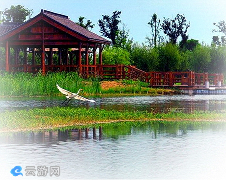 太湖绿光休闲农场
