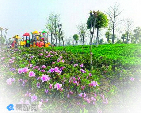 三角咀湿地公园/虎丘湿地公园