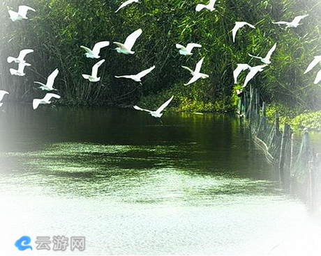 震泽湿地公园