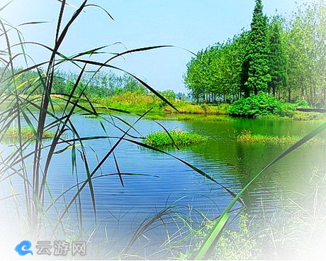 徐马荒湿地公园