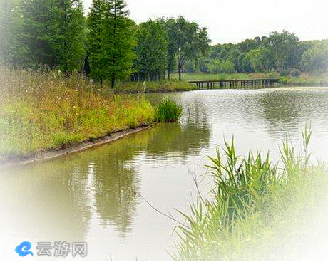 惠山湿地公园