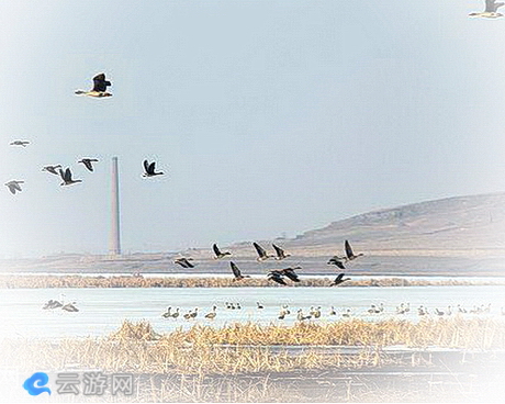 獾子洞国家湿地公园