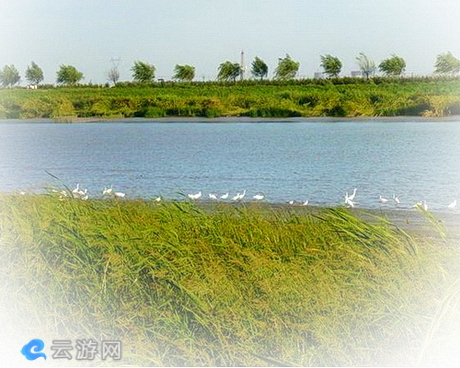 辽河公园