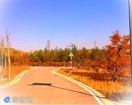 牛驼寨城郊森林公园