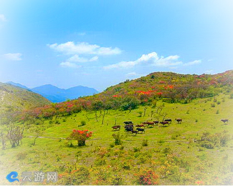 八卦脑风景区