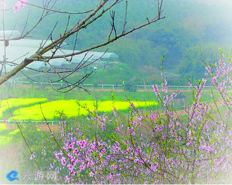 龙台山生态园