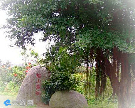 董奉山