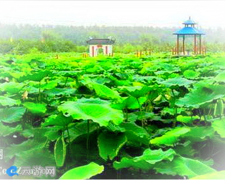 新乡龙泉苑