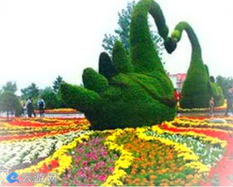 龙源世纪花木园