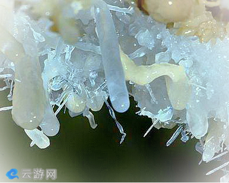 巴马水晶宫/巴马长寿宫