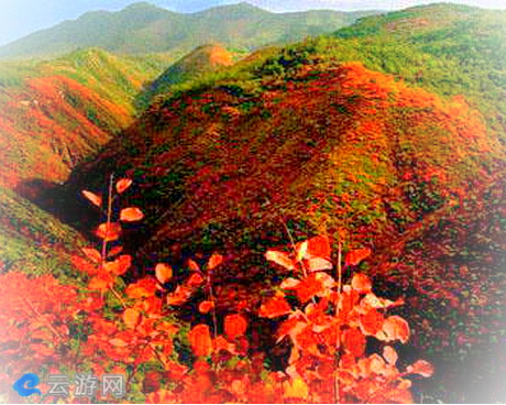 仲山森林公园