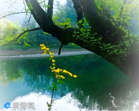 康县梅园河湿地公园