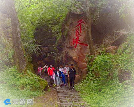 延安甘泉劳山森林公园