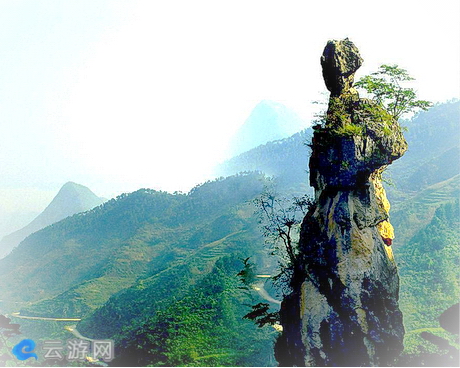 商洛天竺山森林公园