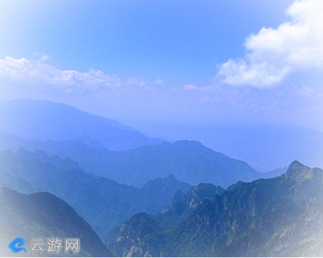 镇安木王森林公园