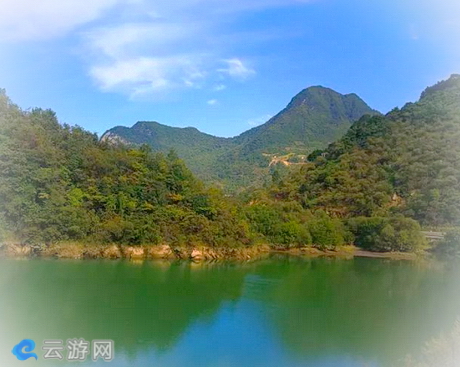 镇安木王森林公园